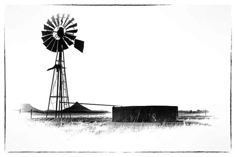 Windpomp Black And White Windmill Art Farm Animal Paintings