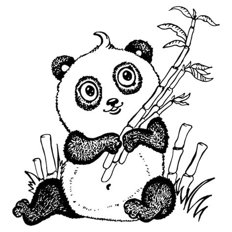 Premium Vector Cute Panda Drawing Vector Illustration