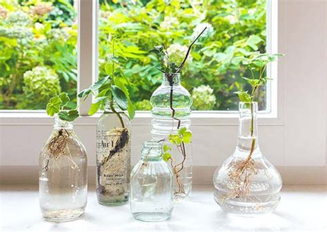 Marvelous Ideas To Exhibit Your Indoor Mini Garden Interior Vogue