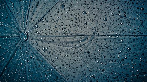 Water Drops On Umbrella Uhd 4k Wallpaper Pixelz