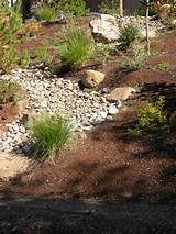 Cleaning River Rock Landscaping Pictures
