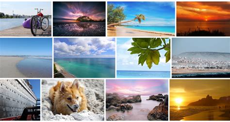 Pixabay Images 30 Every Wordpress Site Needs This Free Plugin Noupe