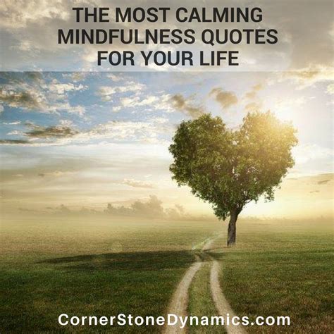The 10 Best Mindfulness Quotes Cornerstone Dynamics