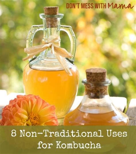 While it's nowhere near as complex as a good sour beer, it's much cheaper, easier to make, and easier to find in a store. 8 Uses for Leftover Kombucha | Kombucha recipe, Kombucha ...
