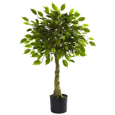 At evergreen direct we have invested in a revolutionary range of artificial plants that are uv stable and protected against the outdoor elements. 3 foot Outdoor Artificial Ficus Tree: Limited UV | 5383