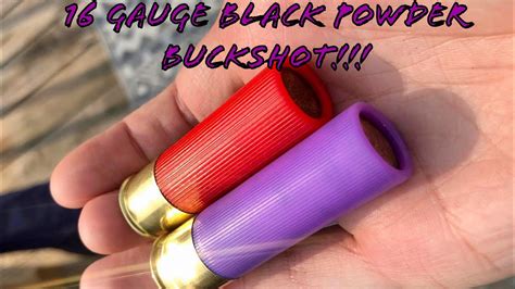 16 Gauge Black Powder Buckshot Hunting Loads Youtube