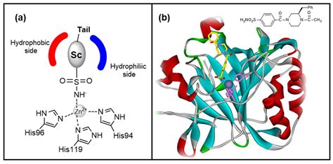 Metabolites Free Full Text Amino Acids As Building Blocks For