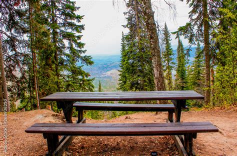 Autumn Forest Nature Park Bench Outdoor Landscape Wooden Bench In