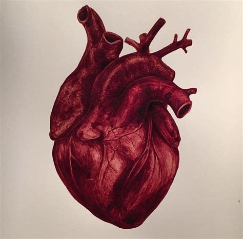 Real Heart Pic Posted By Zoey Cunningham