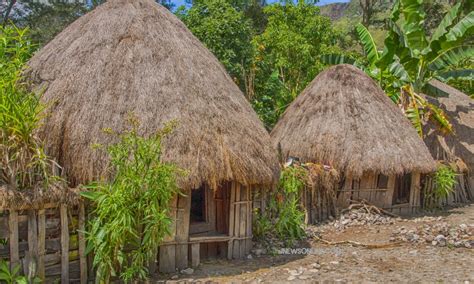 Rumah Adat Papua Yang Menarik Disimak JNEWS Online