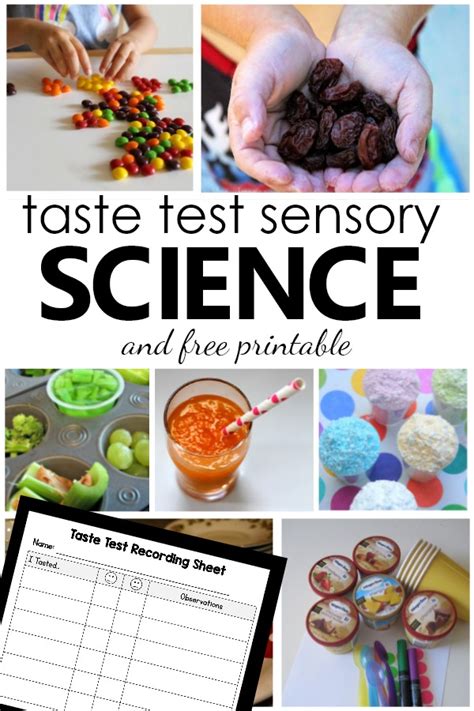 15 Fun Taste Test Science Experiments For Kids Artofit