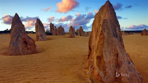 Pinnacles Stone Australie Occidentale 2020 Bing Desktop Aperçu