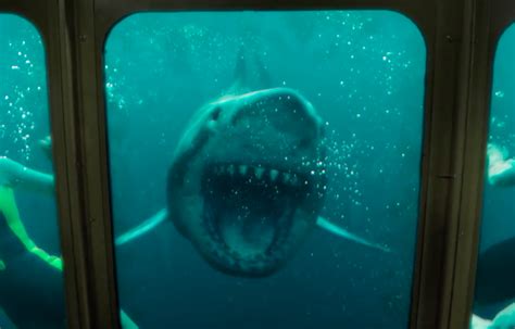 Shark Thriller Sequel 47 Meters Down Uncaged Gets A New Trailer