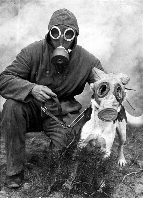 Wwi German Soldier And His Dog Wearing Gas Masks On Maneuvers In