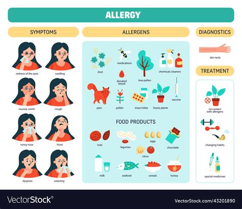 Allergy Colored Infographic Royalty Free Vector Image