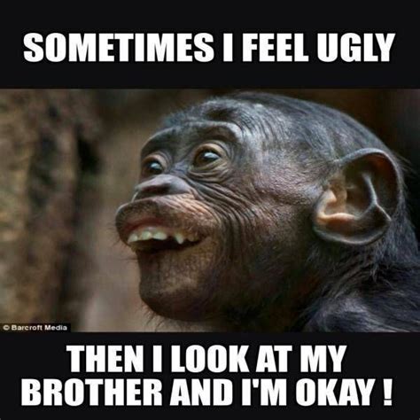25 Funny Brother Memes For Trolling Your Sibling On National Brothers