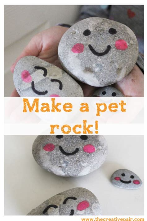 How To Make A Pet Rock Kids Sewing Pet Rocks Crafts For Seniors