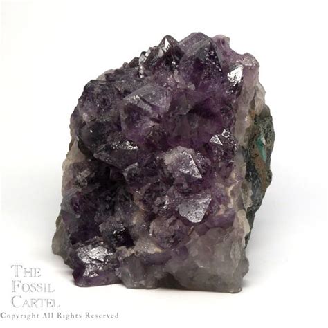 Welcome To The Fossil Cartel Fine Jewelry Crystals Minerals Fossils And More Amethyst