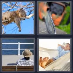 3 c regla del juego :. 4 fotos 1 palabra koala sierra. Señor durmiendo en hamaca ...