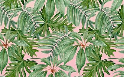 Desktop Palm Palms Summer Wallpapers Study 2560