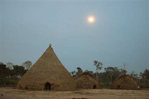 Habitação Da Etnia Enawenê Nawê Foto Autoria Desconhecida Indigenas