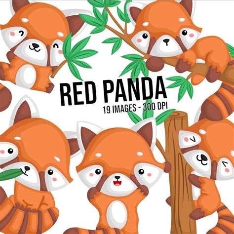 Red Panda Clipart Cute Animal Clip Art Cute Mammal Free Etsy Animal