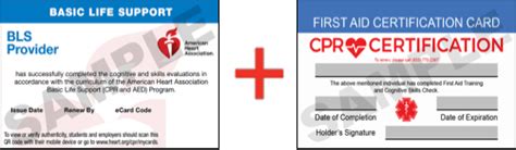 First Aid And Cpr Classes San Diego Cpr Certification San Diego
