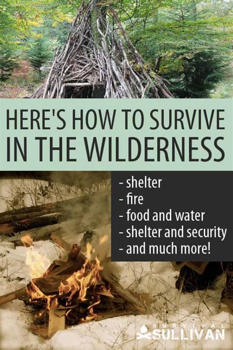 Heres How To Survive In The Wilderness Pdf Checklist Survival