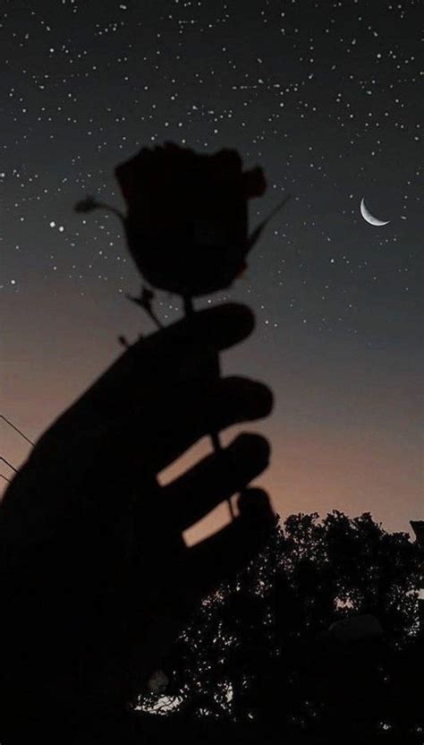 A Persons Hand Holding A Flower In Front Of The Night Sky