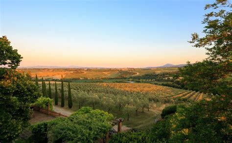 Wineries And Vineyards For Sale In Tuscany Montepulciano