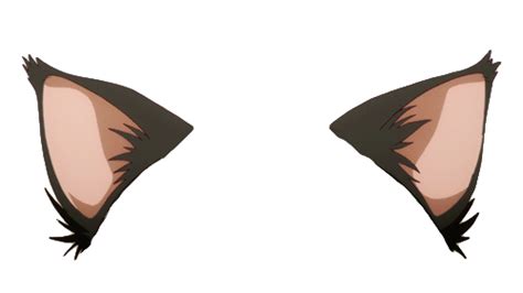 Anime Cat Ears Png
