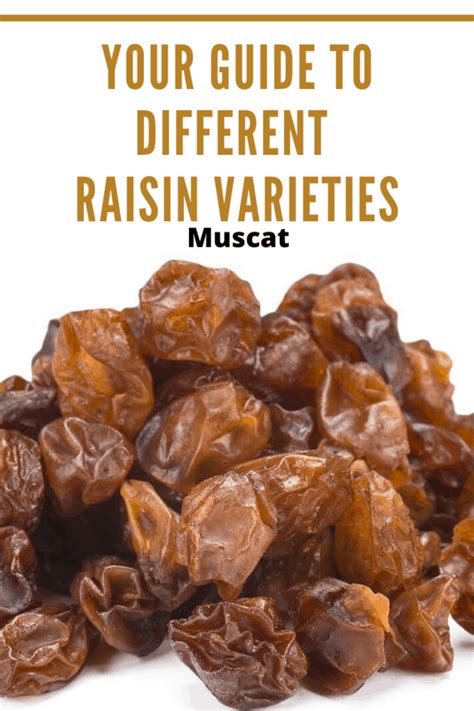 Your Guide To The Different Raisin Varieties Mom S Memo