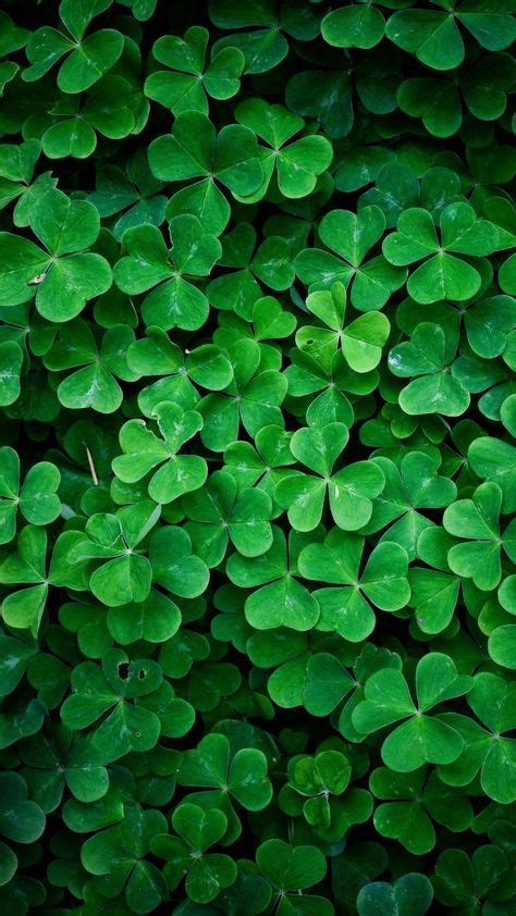 ↑↑tap And Get The Free App Nature Сlover Green Bright Unicolor Ireland