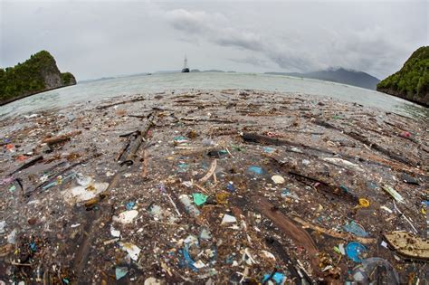 The Shofar The Great Pacific Garbage Patch