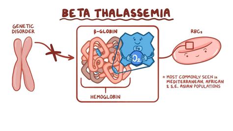 Beta Thalassemia Osmosis