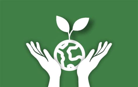 Consultoria Em Sustentabilidade Movimento ODS Santa Catarina