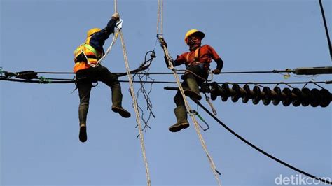 Kurang lebih sudah tiga tahun para pns tidak terima kenaikan dijelaskan secara rinci disini gaji pegawai negeri sipil pada tahun 2017 yang sesuai dengan peraturan pemerintah nomor 30 tahun 2015 tentang. Rencana Potong Gaji Pegawai PLN, Dahlan Iskan Bicara Pohon Sengon