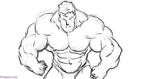 Muscles Of The Torso Drawing Muscular Body Drawing At