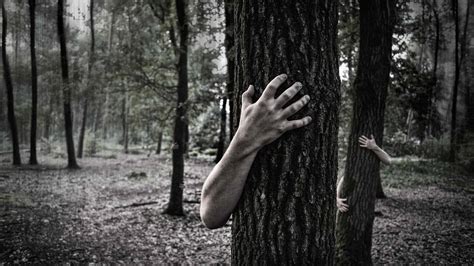Top 10 Most Haunted Forests In The World
