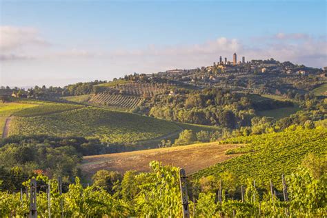 Bordeaux is famous for its wines. Goedkope vliegtickets Bordeaux | CheapTickets.be