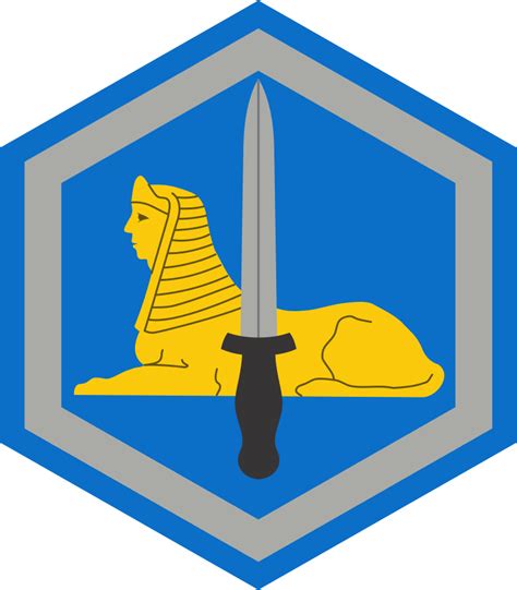 66th Military Intelligence Brigade Military Vinyl Brigade