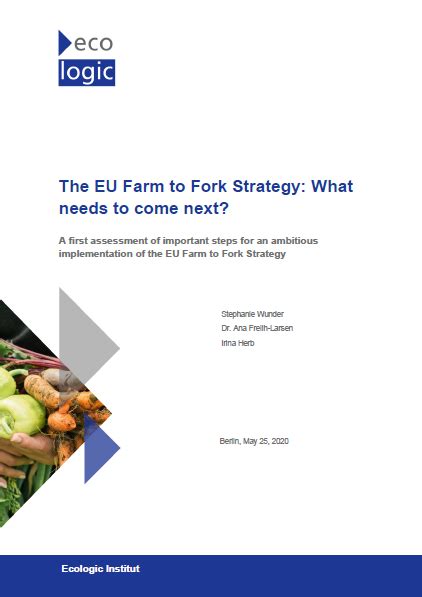The Eu Farm To Fork Strategy What Needs To Come Next Ecologic Institut