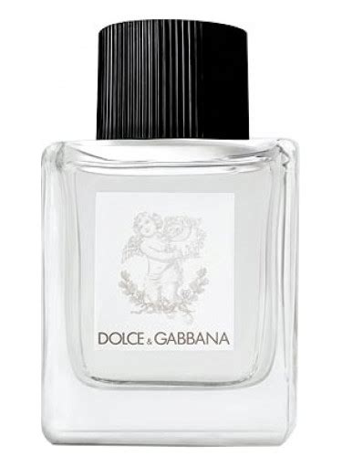Dolce Gabbana Perfume for Babies Dolce Gabbana 香水 一款 年 中性 香水