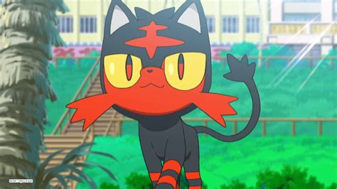 Litten Pokémon How To Catch Moves Pokedex And More
