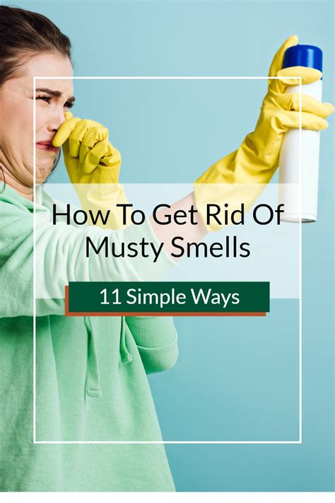 How To Get Rid Of Musty Smells In Cabins Basements And More 11 Simple