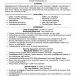 Images of Security Consultant Resume Sample
