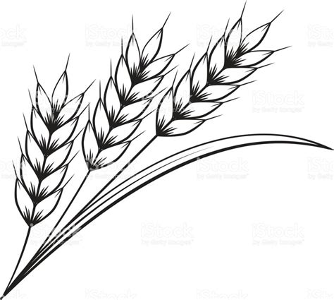 Wheat Clip Art Vector Images Illustrations Clipart Library Clip Art Library