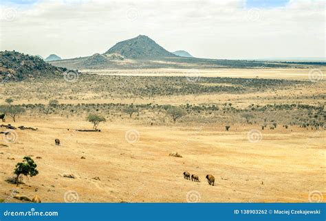 Savannah Plains Landscape In Kenya Stock Photo Image Of Reserve