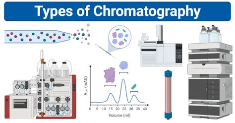 Tipos De Cromatograf A Definici N Principio Pasos Usos