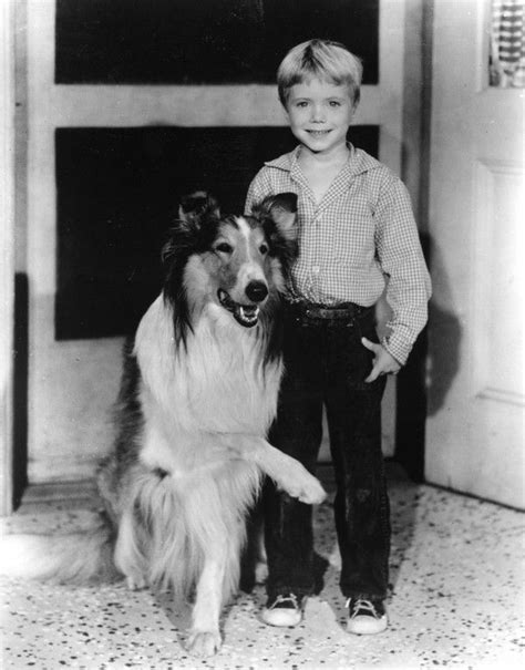 A Boy And His Dog Television Icons Dog Tv Shows Famous Dogs